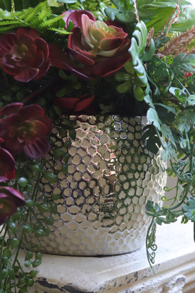 Bizett, sukulenty w ozdobnej donicy