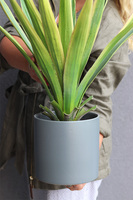 George, sztuczna roślina w doniczce