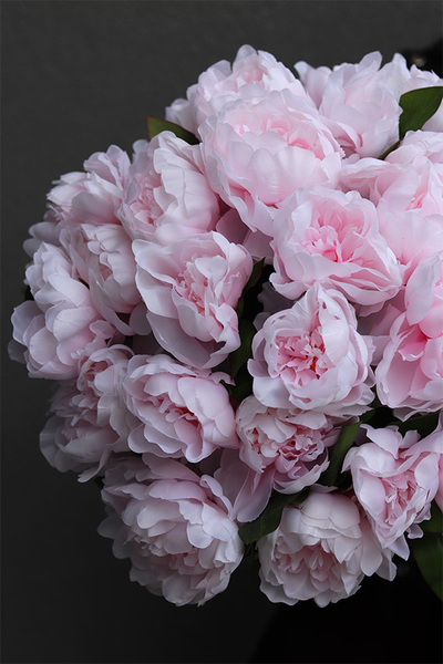 Aura Deluxe, kompozycja z peonii w srebrnej donicy