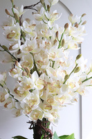 Jasmina Saute, sztuczny storczyk we wkładzie