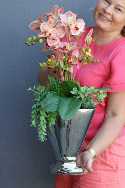 Granada Champagne, gumowy storczyk w naczyniu