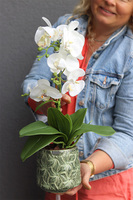 Nedila 3, sztuczny storczyk w zielonej osłonce