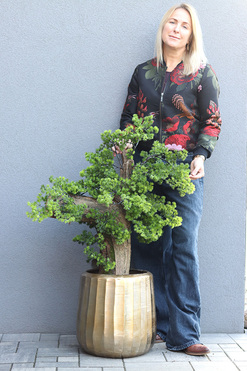 OD RĘKI Bonsai Hand Made Gold, sztuczna roślina w złotej doniczce, wys.110cm
