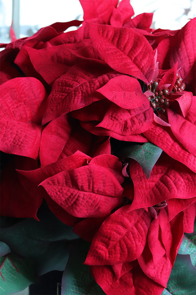 Gwiazda Betlejemska Czerń 3, wysokiej jakości sztuczna roślina