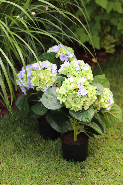 doniczkowa hortensja Zielono-Niebieska, wysokiej jakości sztuczne kwiaty, wys.40cm  