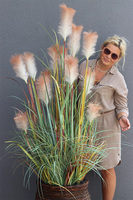 Sawana Basket, sztuczna trawa w koszu z kłosami