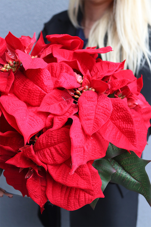 Gwiazda Betlejemska Silverisso, wysokiej jakości sztuczna roślina, wym.30x42cm 