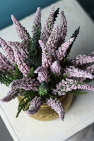 kompozycja w złotej donicy, Goldi Home, wys.29x33cm 