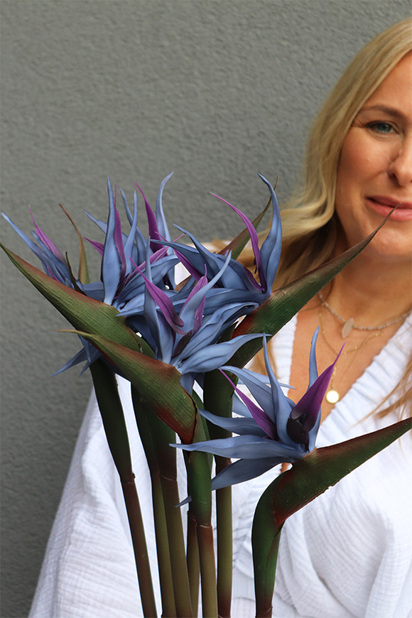 Strelicja Królewska Niebieska, bukiet kwiatów do wazonu, 5 sztuk