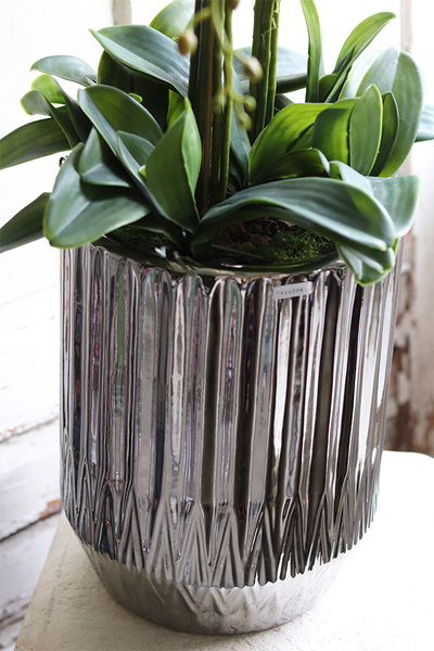 Silverro 2, podłogowy storczyk w lustrzanej donicy, wys.106cm