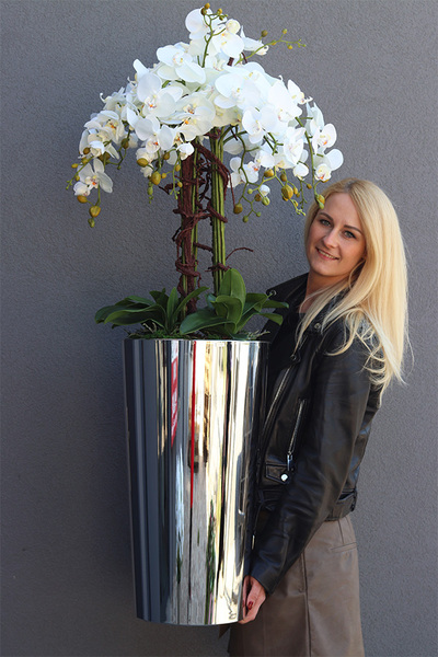 elegancki storczyk podłogowy w srebrnej donicy, Silverio, wys.130cm