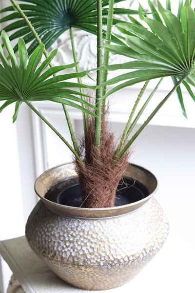 Palma Livistona Eduardo, sztuczna roślina w doniczce