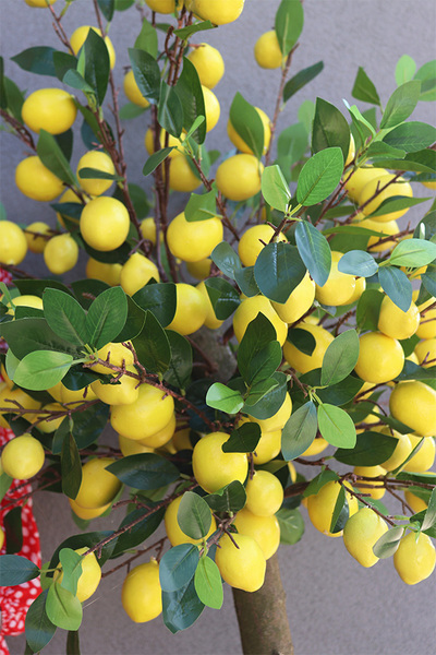 Limoncella Basket, sztuczne drzewko cytrynowe w koszu