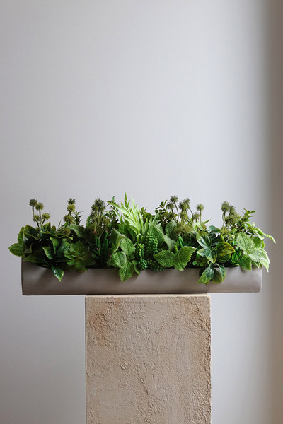 Hektor Modenato 2, kompozycja sukulenty w długiej donicy