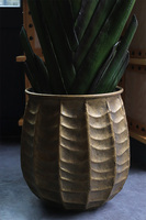 Bananowiec Bellis, sztuczna roślina w donicy