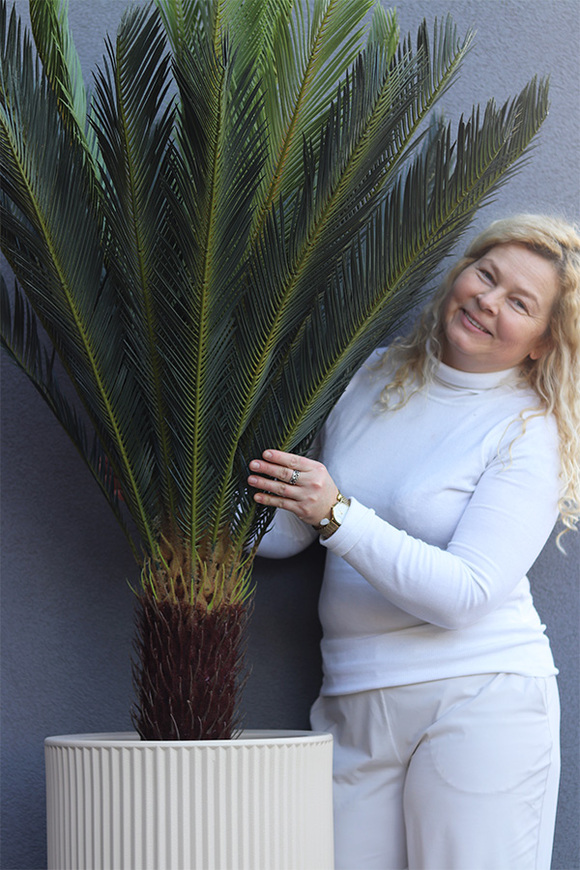 Cykas Grande Lamela, sztuczna roślina w donicy