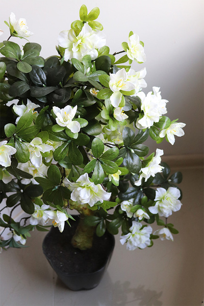 Azalia Bonsai, sztuczna roślina w doniczce