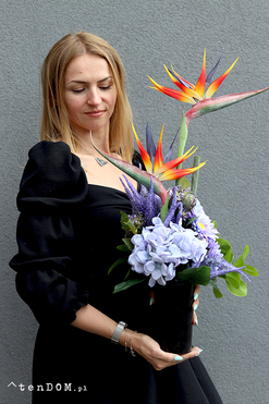 Bajeczne Strelicje Volcan, komplet dekoracji nagrobnych, kompozycja + bukiet