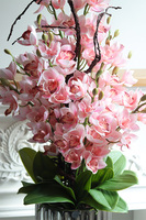 Silverro Sweet Pink, podłogowy storczyk w lustrzanej donicy