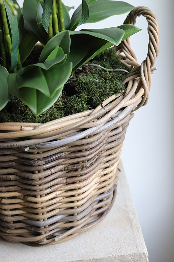 Rattania Cottage, sztuczny storczyk w wiklinowym koszu