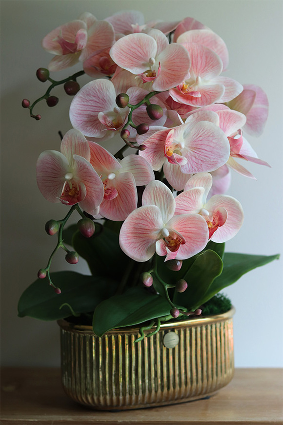 Pink Leolia, sztuczny gumowy storczyk z sukulentami