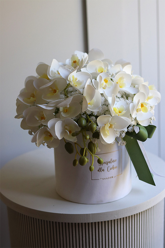 Orchidea, biały flowerbox ze storczykiem