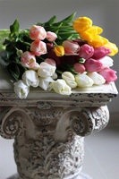 bukiet tulipanów gumowych Jasny Bordo