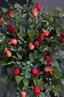 Czerwień Tulipanów, wiosenna wiązanka nagrobna