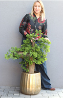 Bonsai Hand Made Gold, sztuczna roślina w złotej doniczce, wys.110cm