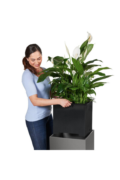 Cube Premium, doniczka z nawadnianiem, antracyt