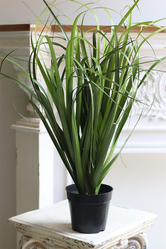 Avanti, sztuczna trawa