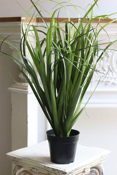 Avanti, sztuczna trawa