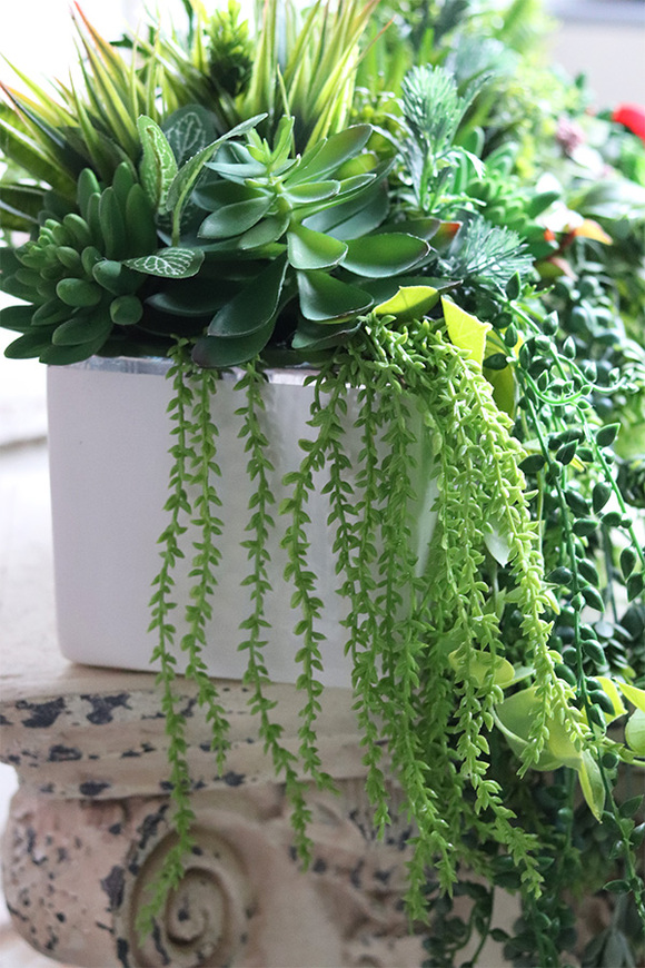 Anya Greena, piękna kompozycja Sukulenty w prostokątnej donicy, wym.30x46cm