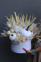 Pumpkin Creme, jesienny flowerbox z dyniami, wys.43cm 