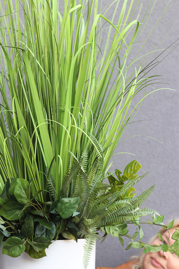 Grassa, kompozycja z traw w donicy