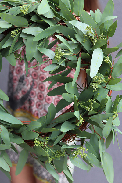 Eucalipti, zielony wianek na drzwi