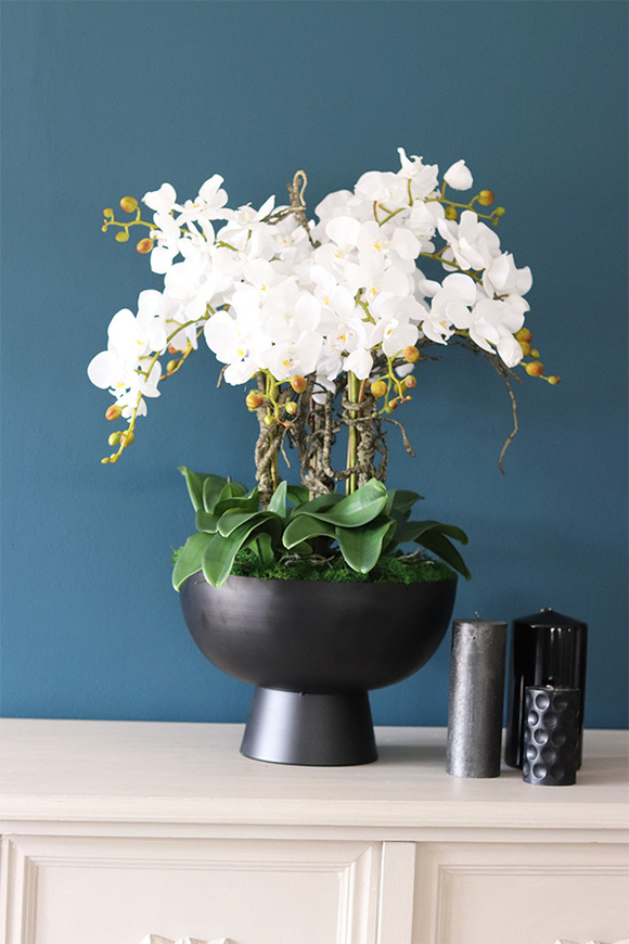 Black SImplicita, storczyk w metalowym pucharze, wys.77cm