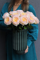 Roes Morlano, róże w wazonie