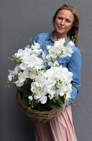 efektowny storczyk w wiklinowym koszu, Rattania Premium