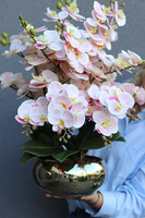 Morella, wysokiej jakości różowy sztuczny storczyk