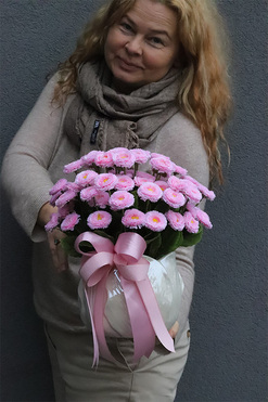 Stokrotki, wiosenna kompozycja kwiatowa w doniczce, wym.32x26cm