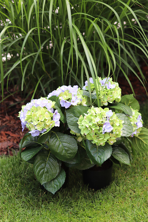 doniczkowa hortensja Zielono-Niebieska, wysokiej jakości sztuczne kwiaty, wys.40cm  