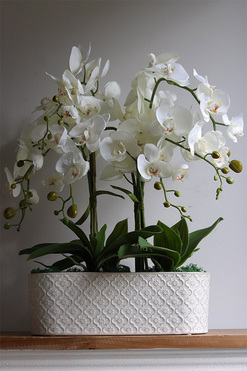 White Orient 2, wysokiej jakości sztuczny storczyk, wys.60cm