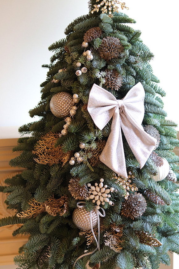 Nobilis Girgio Gold, świąteczna choinka z żywych gałązek