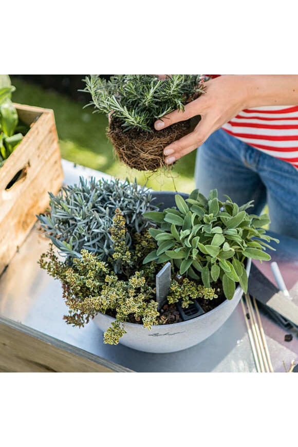 Cubeto Stone, doniczka z nawadnianiem, szary