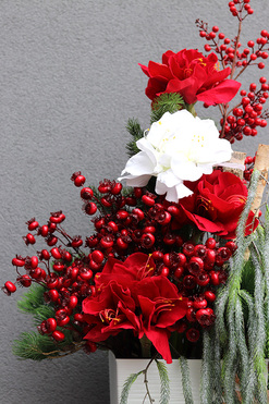 Amarylis Mediolan, świąteczna dekoracja podłogowa, wys.115cm