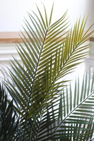 Magellania Earth, sztuczna palma w ozdobnej donicy