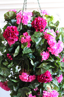 Pelargonia Pink, kwiaty w wiszącej donicy