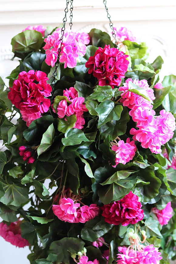 Pelargonia Pink, kwiaty w wiszącej donicy