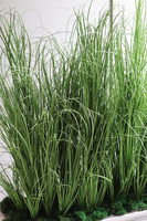 Mortela Saute, sztuczna trawa w stretchu do twojej donicy